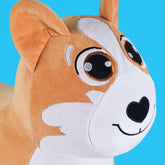 Corgi